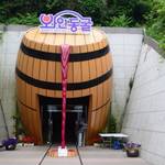 【金海】釜山の隣にある金海ではロマンチックなワイン洞窟があるんです♡