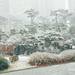 韓国ソウルでは初雪が！雪が降った街をチェックしてみましょう♡