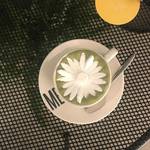 【聖水】コップの中でお花が咲く♡インスタ映えカフェ「멜로워 코리아」の春メニュー♡