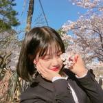 韓国でのんびりお花見が楽しめる♡「国立ソウル顕忠院」でしだれ桜を見よう♡