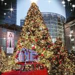 【ソウル市内】毎年人気のクリスマスツリー&イルミネーション特集♡