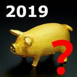 韓国の干支で今年は豚年! 2019年が「黄金の豚年」といわれる理由は?