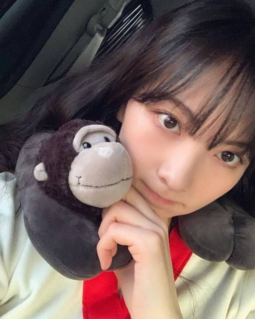 日本と表現が違う 韓国語の動物名と鳴き声をセットで10個紹介 韓国トレンド情報 韓国まとめ Joah ジョア