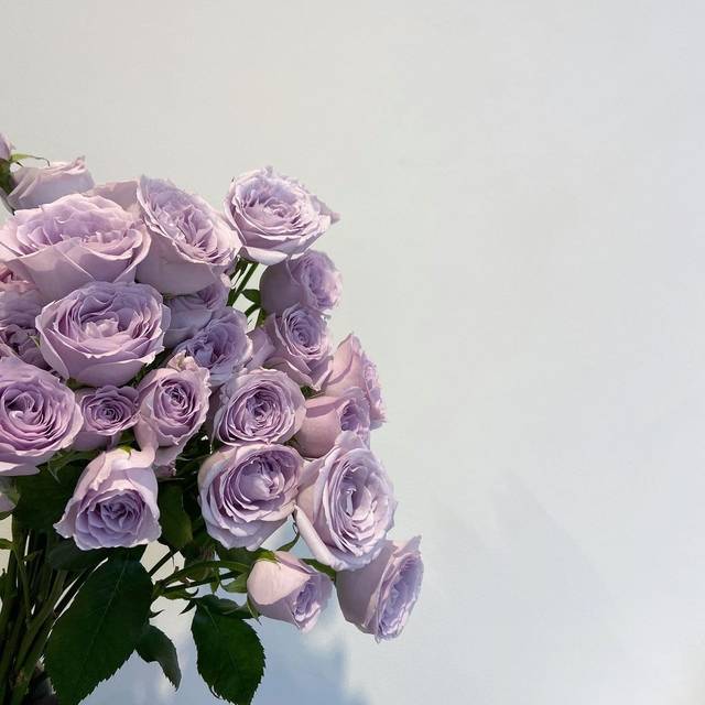 Armyも必見 韓国人オススメの紫色の花束が8選がかわいすぎる 韓国トレンド情報 韓国まとめ Joah ジョア