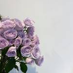 ARMYも必見！韓国人オススメの紫色の花束が8選がかわいすぎる♡