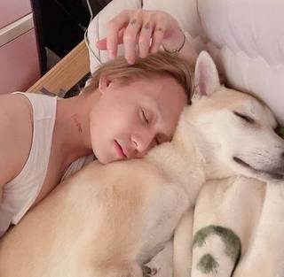 韓国人の愛犬の名前をタイプ別でご紹介 響きが可愛くて真似したい 韓国トレンド情報 韓国まとめ Joah ジョア