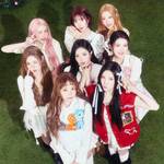 ハトゥハ公式キャラ「ハキュハ」！名前、読み方、動物を大公開♡