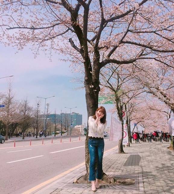 韓国女子から学ぶ 桜と一緒に写真を撮るときのかわいいポーズ 韓国トレンド情報 韓国まとめ Joah ジョア