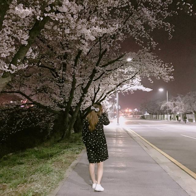 韓国女子から学ぶ 桜と一緒に写真を撮るときのかわいいポーズ 韓国トレンド情報 韓国まとめ Joah ジョア
